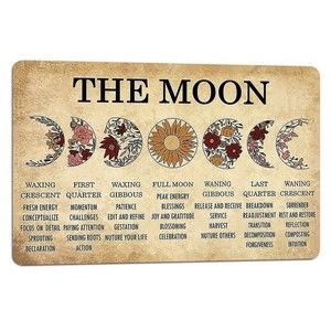 Moon Phase Decorative Wall Art